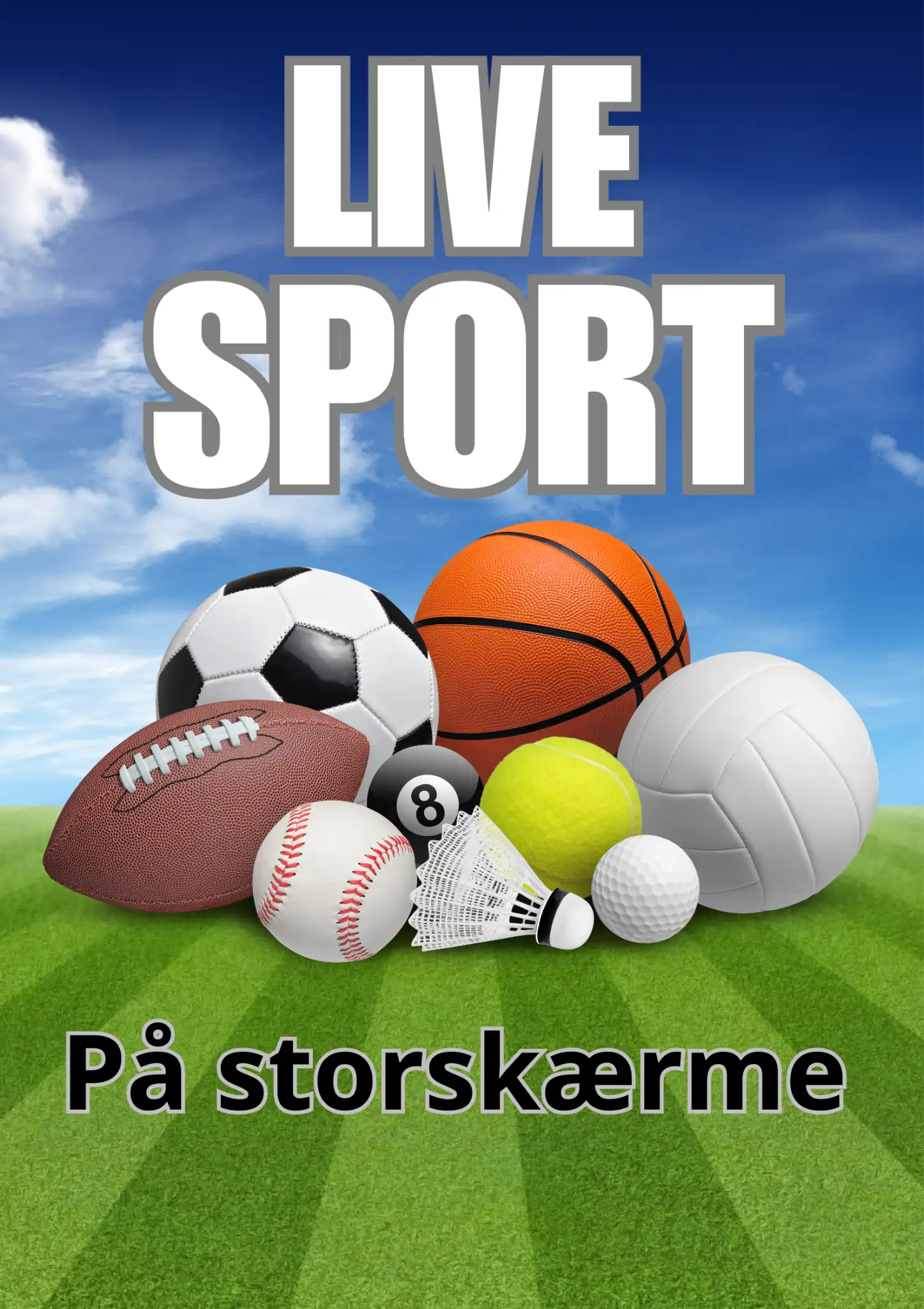 live_optimized Roskildes bedste sportsbar